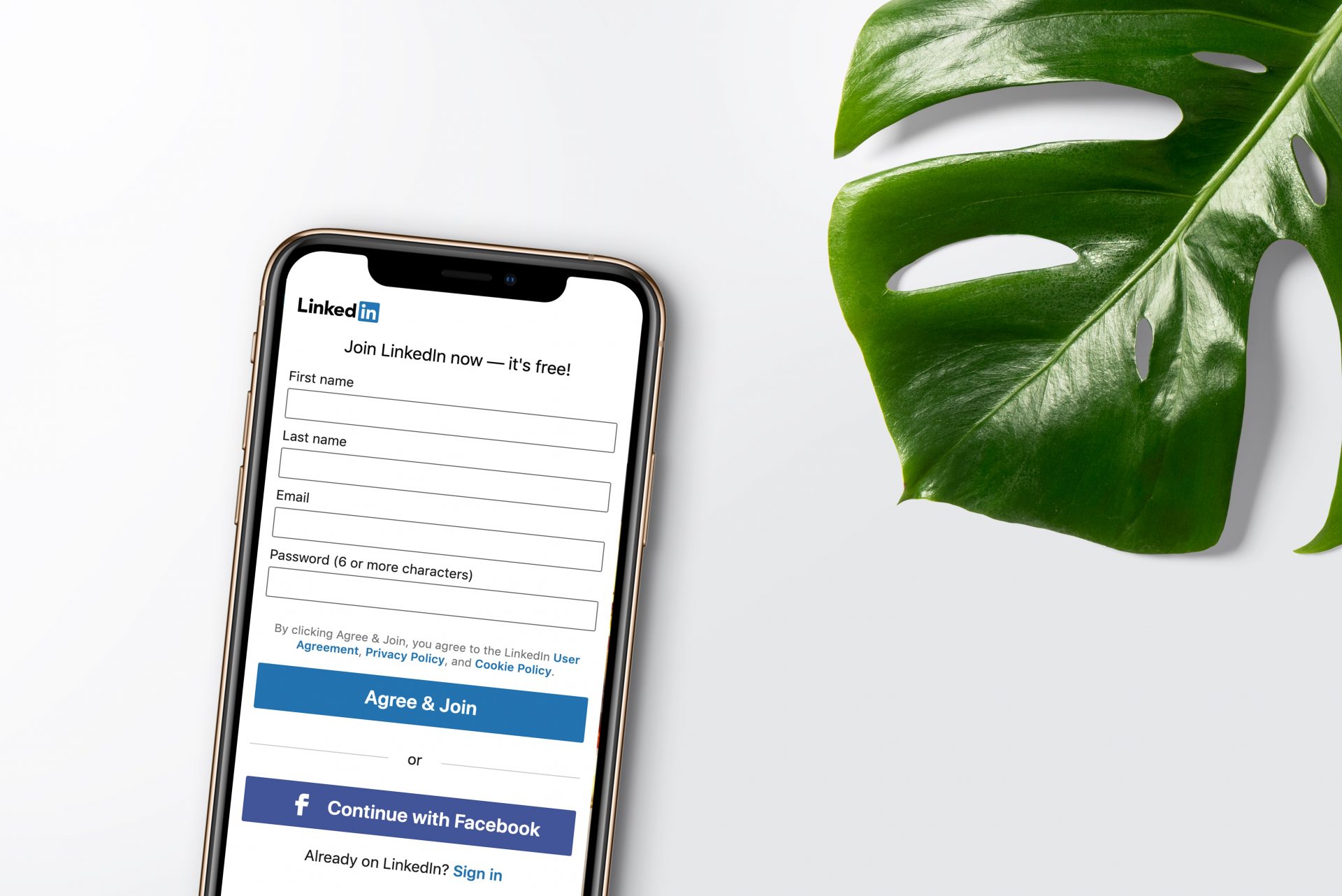 Linkedin Kampagne Ads 5 Schritte Tipps erfolgreich Selbstständigkeit