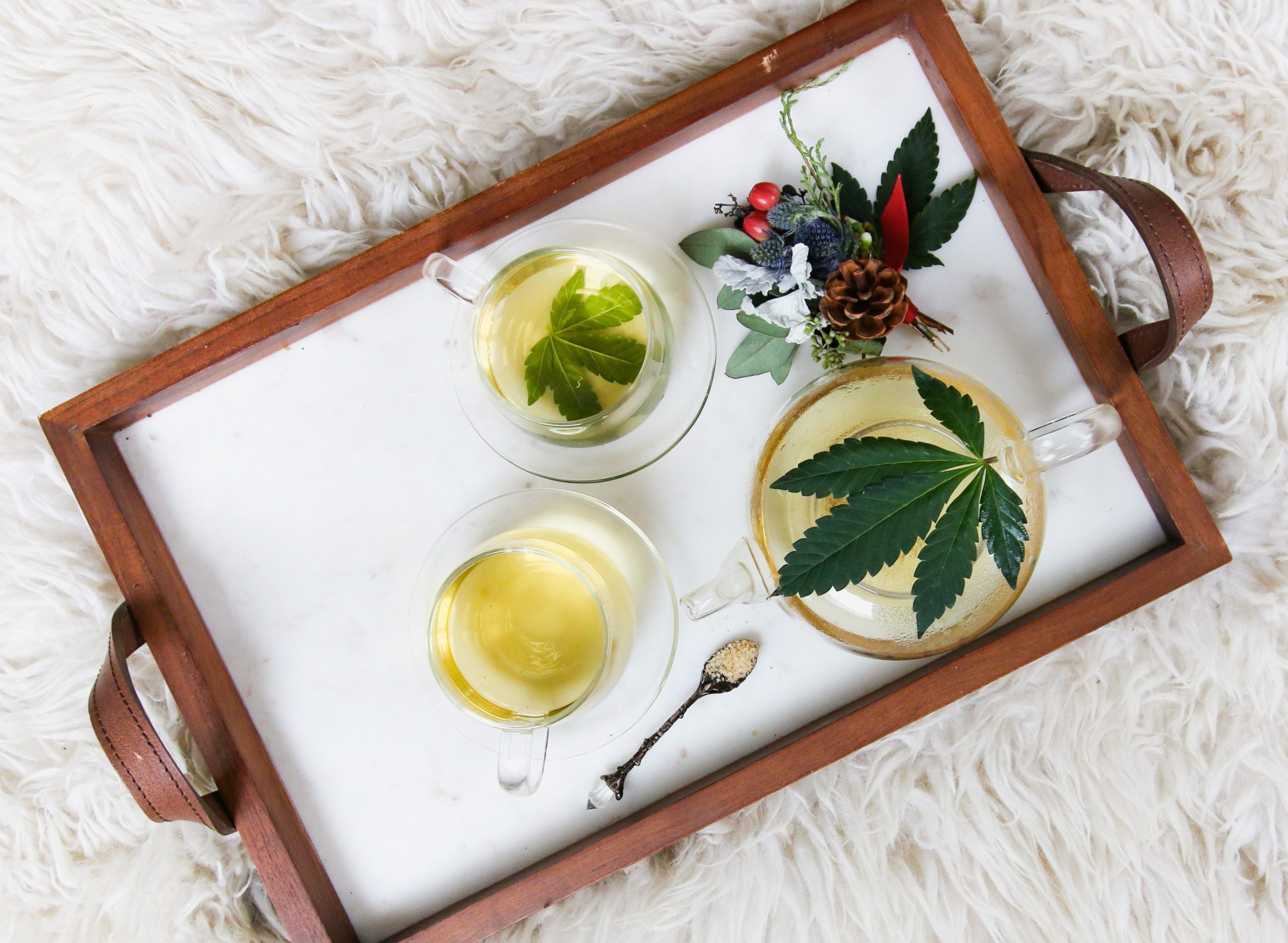 kimzy-nanney-qgIg42OxbwI-unsplash(1)